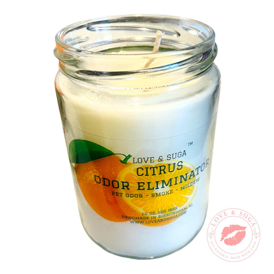 Fresh Escape                           Citrus Odor Eliminator Candle